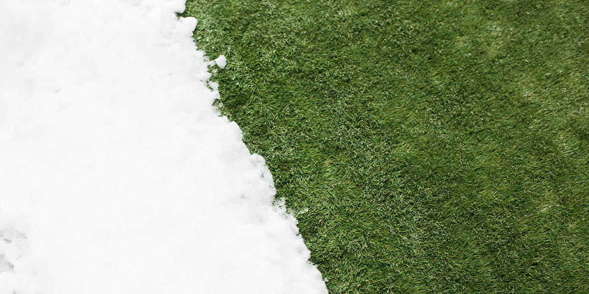 snow on artificial grass